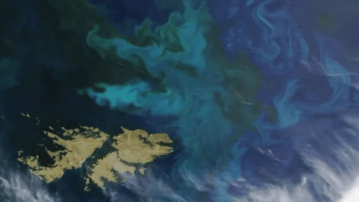 NASA Captures Stunning Aerial Image of Phytoplankton Bloom Around the Falkland Islands